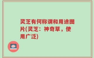 灵芝有何称谓和用途图片(灵芝：神奇草，使用广泛)