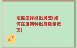 地里怎样能出灵芝(如何在田间种出高质量灵芝)