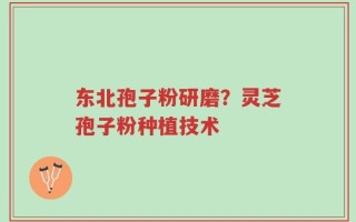 东北孢子粉研磨？灵芝孢子粉种植技术