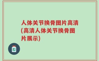 人体关节换骨图片高清(高清人体关节换骨图片展示)
