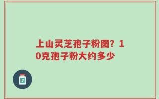 上山灵芝孢子粉图？10克孢子粉大约多少
