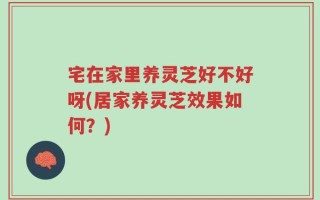 宅在家里养灵芝好不好呀(居家养灵芝效果如何？)