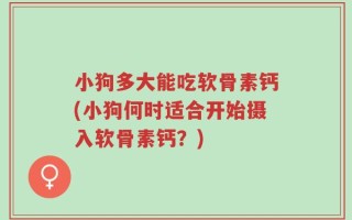 小狗多大能吃软骨素钙(小狗何时适合开始摄入软骨素钙？)