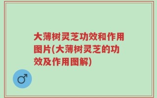 大薄树灵芝功效和作用图片(大薄树灵芝的功效及作用图解)