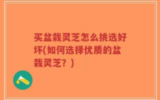 买盆栽灵芝怎么挑选好坏(如何选择优质的盆栽灵芝？)