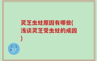灵芝虫蛀原因有哪些(浅谈灵芝受虫蛀的成因)