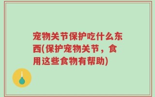 宠物关节保护吃什么东西(保护宠物关节，食用这些食物有帮助)