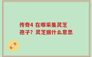传奇4 在哪采集灵芝孢子？灵芝猴什么意思