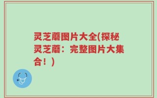 灵芝蘑图片大全(探秘灵芝蘑：完整图片大集合！)