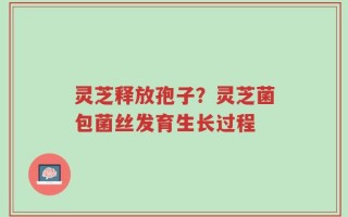 灵芝释放孢子？灵芝菌包菌丝发育生长过程