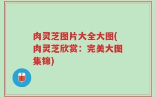 肉灵芝图片大全大图(肉灵芝欣赏：完美大图集锦)