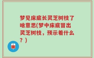 梦见床底长灵芝树枝了啥意思(梦中床底冒出灵芝树枝，预示着什么？)