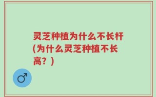 灵芝种植为什么不长杆(为什么灵芝种植不长高？)