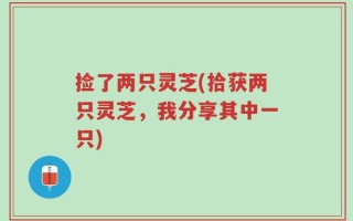 捡了两只灵芝(拾获两只灵芝，我分享其中一只)