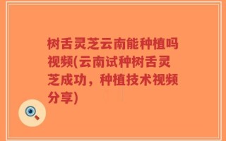 树舌灵芝云南能种植吗视频(云南试种树舌灵芝成功，种植技术视频分享)