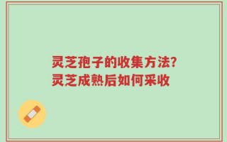 灵芝孢子的收集方法？灵芝成熟后如何采收