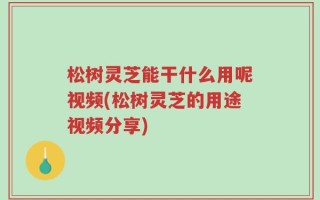 松树灵芝能干什么用呢视频(松树灵芝的用途视频分享)