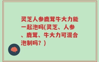 灵芝人参鹿茸牛大力能一起泡吗(灵芝、人参、鹿茸、牛大力可混合泡制吗？)