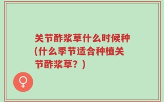 关节酢浆草什么时候种(什么季节适合种植关节酢浆草？)