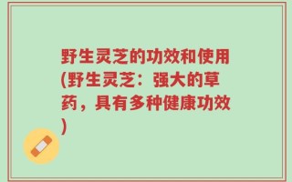 野生灵芝的功效和使用(野生灵芝：强大的草药，具有多种健康功效)