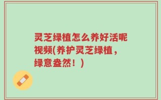 灵芝绿植怎么养好活呢视频(养护灵芝绿植，绿意盎然！)
