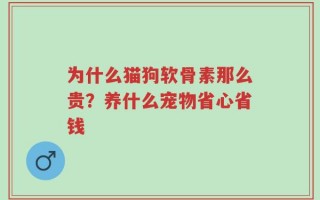 为什么猫狗软骨素那么贵？养什么宠物省心省钱