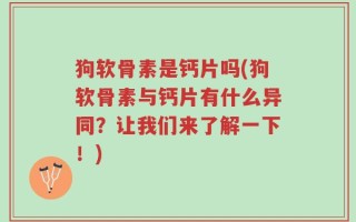 狗软骨素是钙片吗(狗软骨素与钙片有什么异同？让我们来了解一下！)