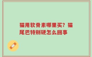 猫用软骨素哪里买？猫尾巴特别硬怎么回事