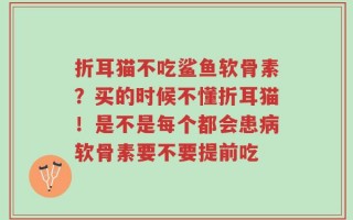 折耳猫不吃鲨鱼软骨素？买的时候不懂折耳猫！是不是每个都会患病软骨素要不要提前吃
