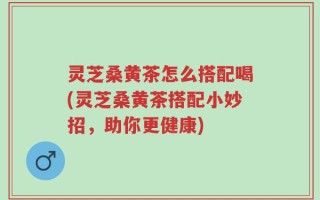 灵芝桑黄茶怎么搭配喝(灵芝桑黄茶搭配小妙招，助你更健康)