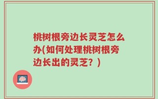桃树根旁边长灵芝怎么办(如何处理桃树根旁边长出的灵芝？)