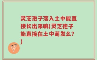 灵芝孢子落入土中能直接长出来嘛(灵芝孢子能直接在土中萌发么？)