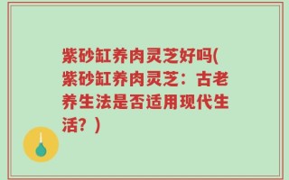 紫砂缸养肉灵芝好吗(紫砂缸养肉灵芝：古老养生法是否适用现代生活？)