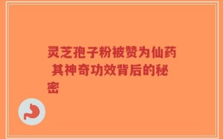 灵芝孢子粉被赞为仙药 其神奇功效背后的秘密
