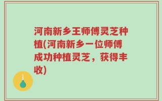 河南新乡王师傅灵芝种植(河南新乡一位师傅成功种植灵芝，获得丰收)