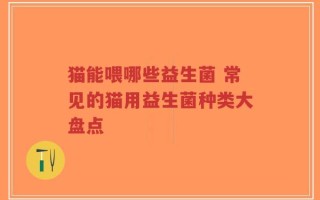猫能喂哪些益生菌 常见的猫用益生菌种类大盘点