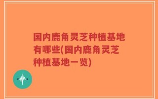 国内鹿角灵芝种植基地有哪些(国内鹿角灵芝种植基地一览)