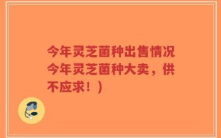 今年灵芝菌种出售情况今年灵芝菌种大卖，供不应求！)