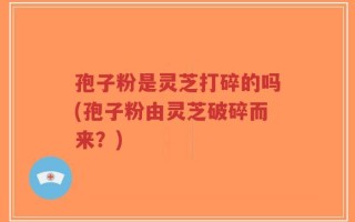 孢子粉是灵芝打碎的吗(孢子粉由灵芝破碎而来？)