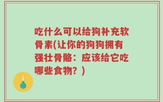 吃什么可以给狗补充软骨素(让你的狗狗拥有强壮骨骼：应该给它吃哪些食物？)