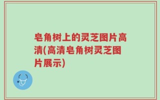 皂角树上的灵芝图片高清(高清皂角树灵芝图片展示)