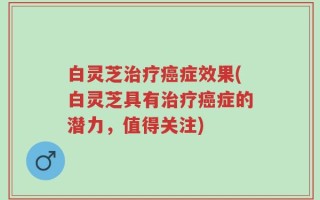 白灵芝治疗癌症效果(白灵芝具有治疗癌症的潜力，值得关注)