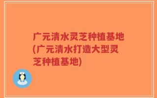 广元清水灵芝种植基地(广元清水打造大型灵芝种植基地)