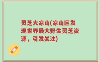 灵芝大凉山(凉山区发现世界最大野生灵芝资源，引发关注)