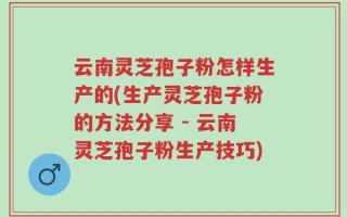 云南灵芝孢子粉怎样生产的(生产灵芝孢子粉的方法分享 - 云南灵芝孢子粉生产技巧)