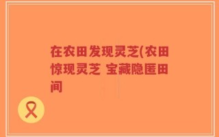 在农田发现灵芝(农田惊现灵芝 宝藏隐匿田间