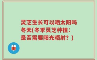 灵芝生长可以晒太阳吗冬天(冬季灵芝种植：是否需要阳光晒射？)