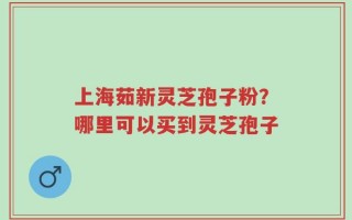 上海茹新灵芝孢子粉？哪里可以买到灵芝孢子