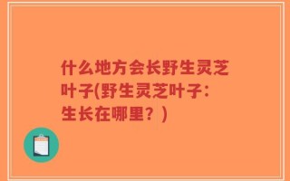 什么地方会长野生灵芝叶子(野生灵芝叶子：生长在哪里？)