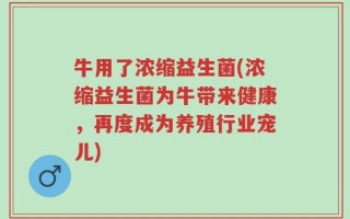 牛用了浓缩益生菌(浓缩益生菌为牛带来健康，再度成为养殖行业宠儿)